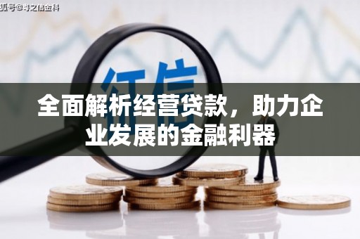丰润全面解析经营贷款，助力企业发展的金融利器