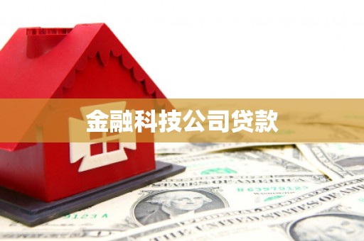 丰润金融科技公司贷款