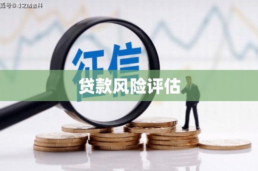 丰润贷款风险评估