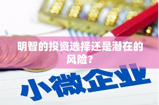 丰润明智的投资选择还是潜在的风险？