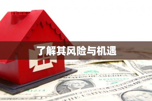 丰润了解其风险与机遇