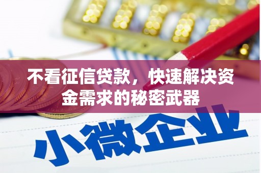 丰润不看征信贷款，快速解决资金需求的秘密武器