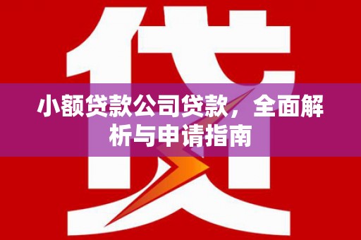 丰润小额贷款公司贷款，全面解析与申请指南