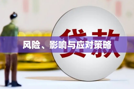 丰润风险、影响与应对策略
