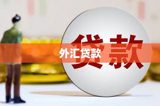 丰润外汇贷款