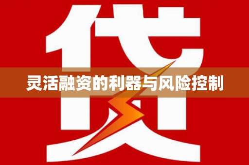 丰润灵活融资的利器与风险控制
