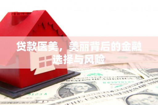 丰润贷款医美，美丽背后的金融选择与风险