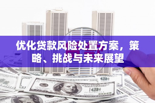 丰润优化贷款风险处置方案，策略、挑战与未来展望