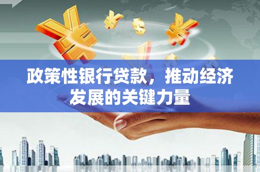 丰润政策性银行贷款，推动经济发展的关键力量
