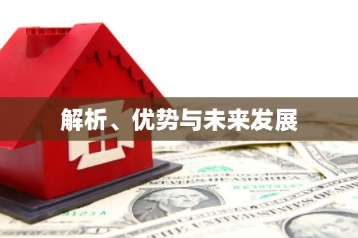 丰润解析、优势与未来发展