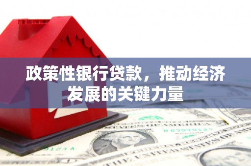 丰润政策性银行贷款，推动经济发展的关键力量
