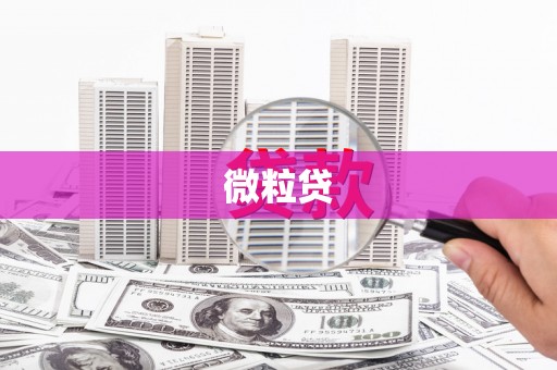 丰润微粒贷