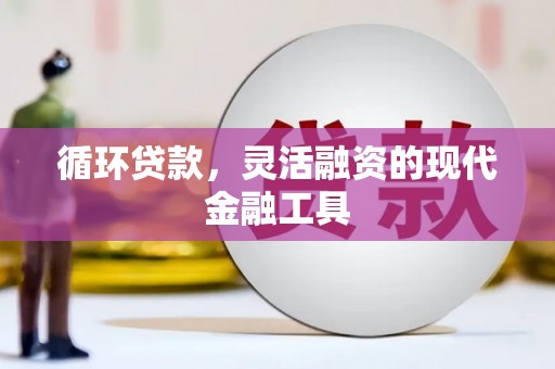 丰润循环贷款，灵活融资的现代金融工具