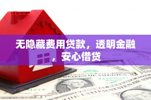 丰润无隐藏费用贷款，透明金融，安心借贷