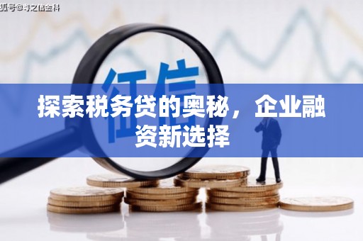丰润探索税务贷的奥秘，企业融资新选择