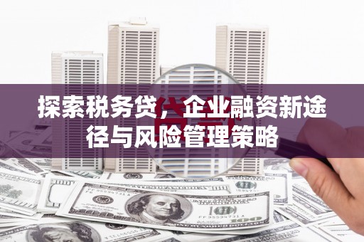 丰润探索税务贷，企业融资新途径与风险管理策略