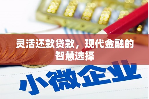 丰润灵活还款贷款，现代金融的智慧选择