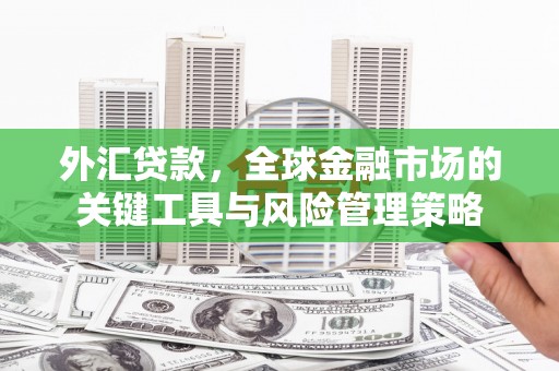 丰润外汇贷款，全球金融市场的关键工具与风险管理策略