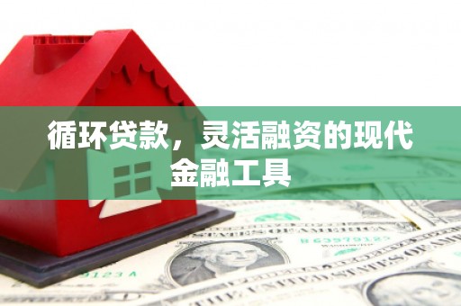 丰润循环贷款，灵活融资的现代金融工具