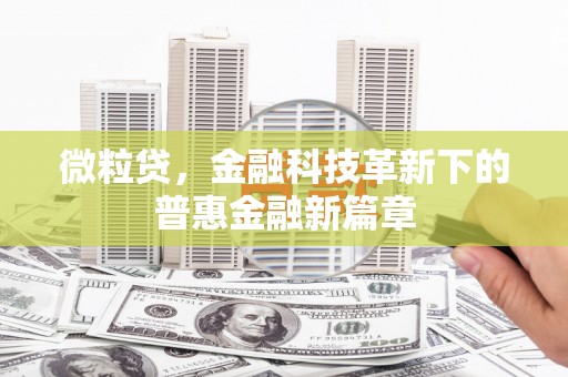 丰润微粒贷，金融科技革新下的普惠金融新篇章