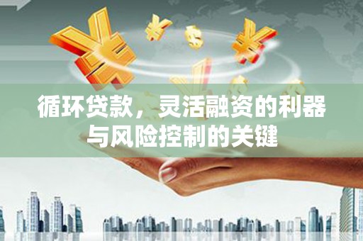 丰润循环贷款，灵活融资的利器与风险控制的关键
