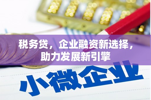 丰润税务贷，企业融资新选择，助力发展新引擎