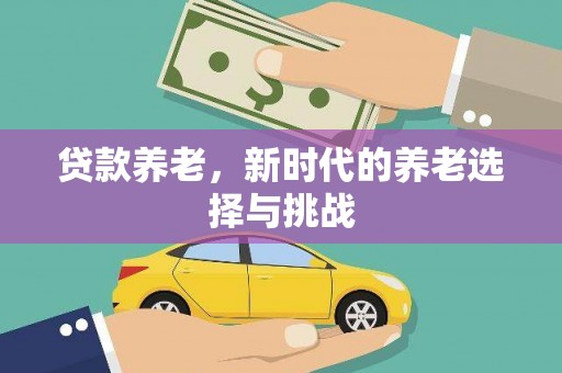 丰润贷款养老，新时代的养老选择与挑战