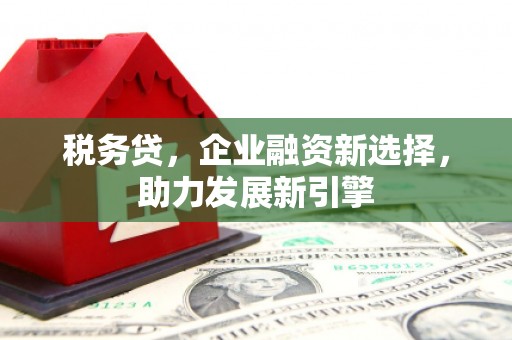 丰润税务贷，企业融资新选择，助力发展新引擎
