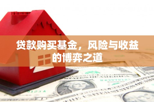 丰润贷款购买基金，风险与收益的博弈之道