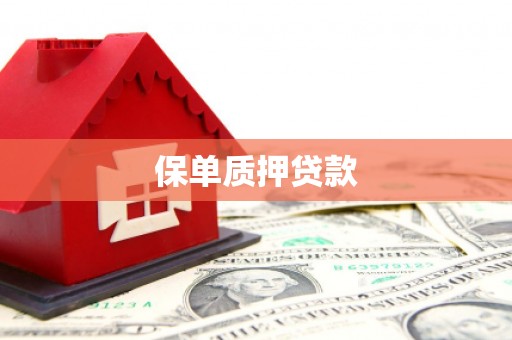 丰润保单质押贷款