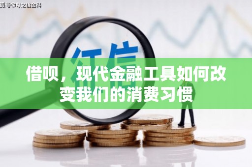 丰润借呗，现代金融工具如何改变我们的消费习惯