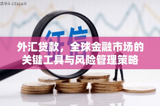 丰润外汇贷款，全球金融市场的关键工具与风险管理策略