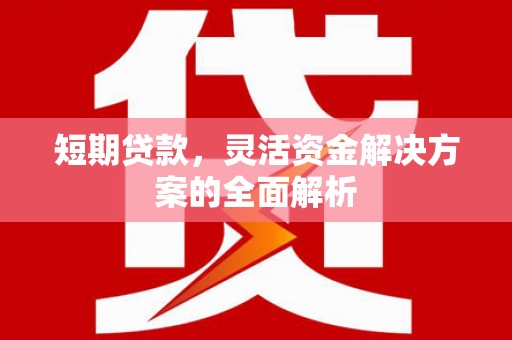 丰润短期贷款，灵活资金解决方案的全面解析