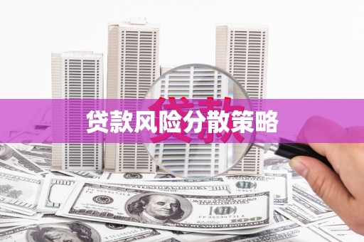 丰润贷款风险分散策略