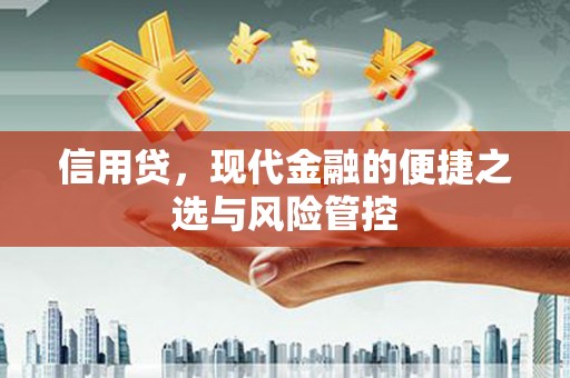 丰润信用贷，现代金融的便捷之选与风险管控