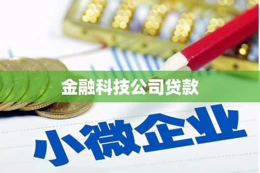 丰润金融科技公司贷款