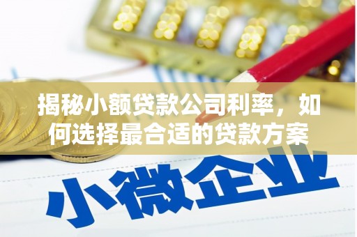 丰润揭秘小额贷款公司利率，如何选择最合适的贷款方案