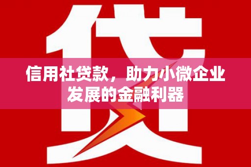 丰润信用社贷款，助力小微企业发展的金融利器