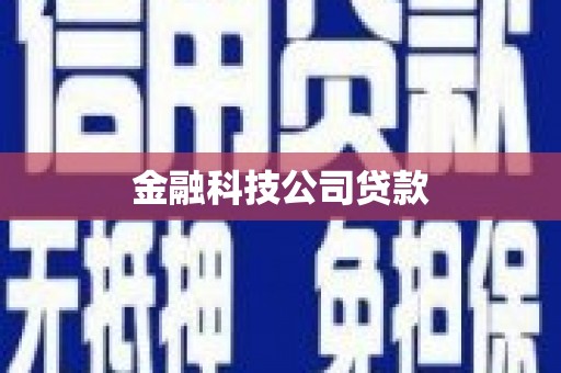 丰润金融科技公司贷款