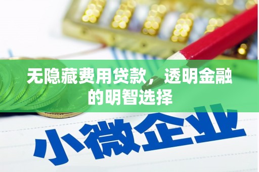 丰润无隐藏费用贷款，透明金融的明智选择