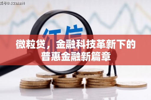 丰润微粒贷，金融科技革新下的普惠金融新篇章