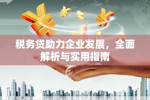 丰润税务贷助力企业发展，全面解析与实用指南