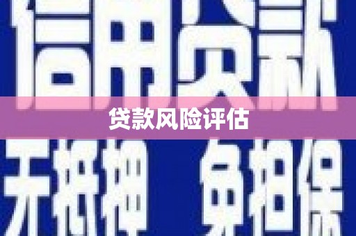 丰润贷款风险评估