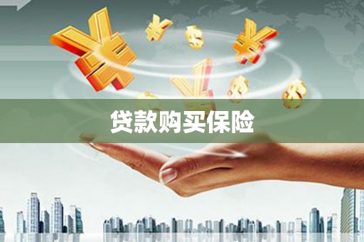 丰润贷款购买保险