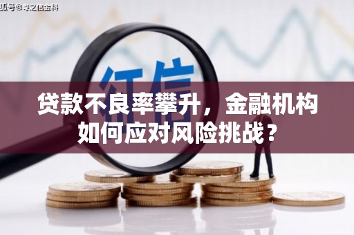 丰润贷款不良率攀升，金融机构如何应对风险挑战？