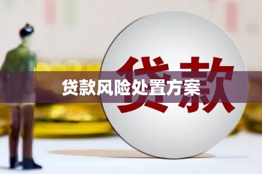 丰润贷款风险处置方案