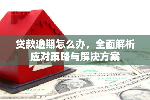 丰润贷款逾期怎么办，全面解析应对策略与解决方案