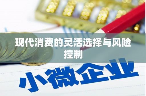 丰润现代消费的灵活选择与风险控制