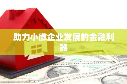 丰润助力小微企业发展的金融利器