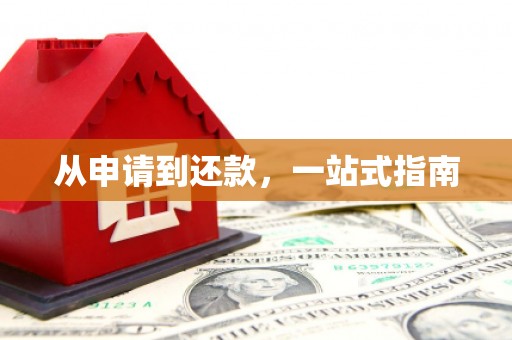 丰润从申请到还款，一站式指南